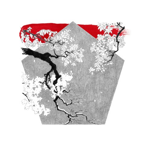 Akupunktur, Marian Leuthold, 5 Elemente GmbH