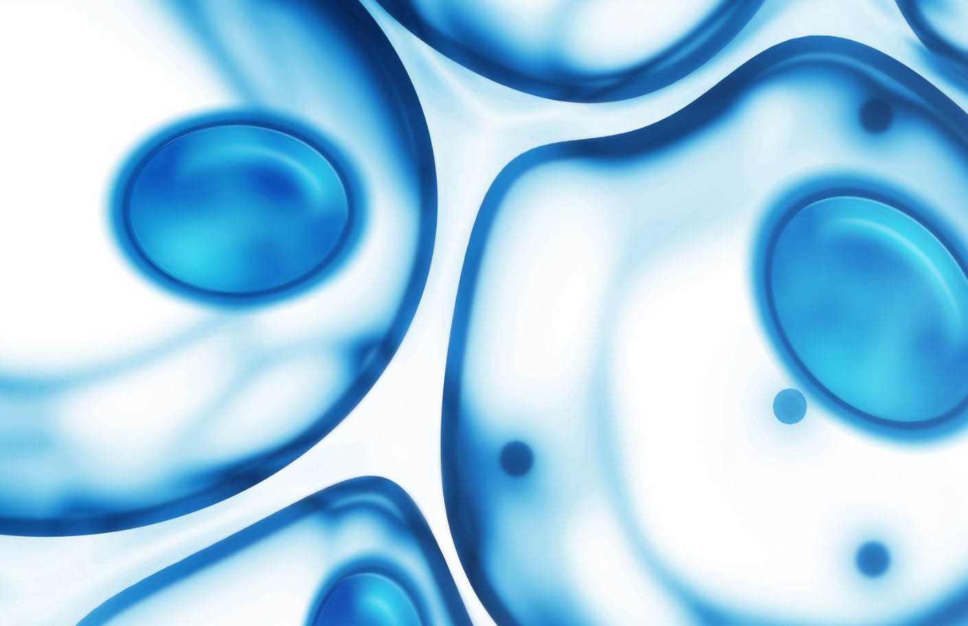 Stammzellen, Stammzell-Biiobanking, Swiss Stem Cells Biotech Stammzellen, Stammzell-Biiobanking, Swiss Stem Cells Biotech